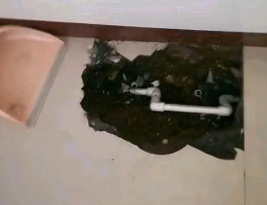平顶山卫生间测漏水多少钱